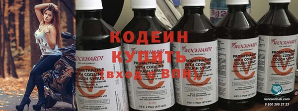 прущие грибы Сатка