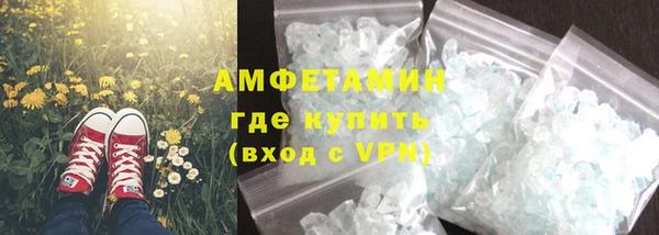прущие грибы Сатка